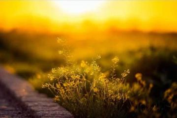 埃弗顿备战新赛季英超