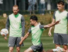 海登海姆 VS 沃尔夫斯堡