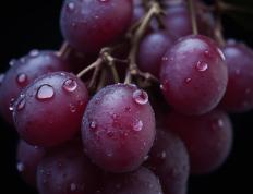 西班牙(yá)人爲(wèi)什么要在新年到(dào)来时吃12颗葡萄？