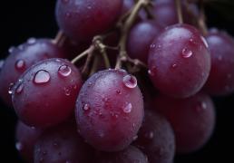 西班牙(yá)人爲(wèi)什么要在新年到(dào)来时吃12颗葡萄？