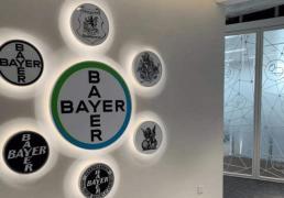 50+1的情况下(xià)，勒沃库森为什麽(me)還(hái)保留拜耳的名字？